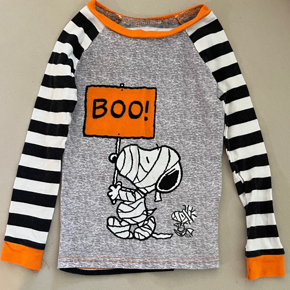 Peanuts Snoopy Halloween Long Sleeve Shirt - Gray, Black, and Orange